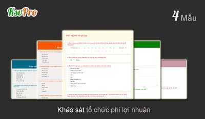 Khảo sát tổ chức phi lợi nhuận