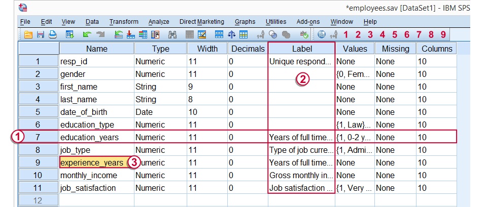 spss Variable View