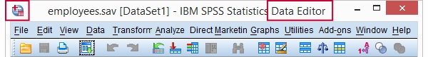 spss data editor 1