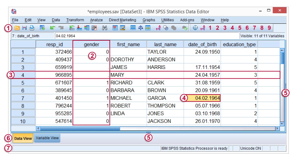 spss data view